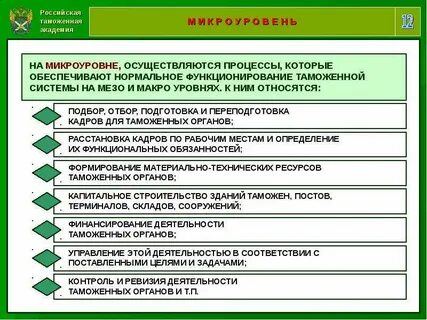 Предметная специализация таможенных органов