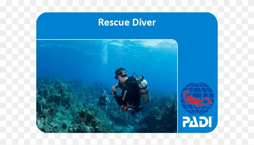 Padi open. Open Water Diver сертификат. Padi дайвинг. Сертификат дайвера Padi. Дайвинг сертификация.