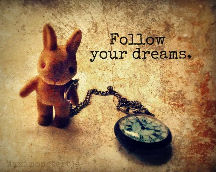 Your follower. Your follower. Картинка follow your heart !. Follow your dreams самолет. Your follower.