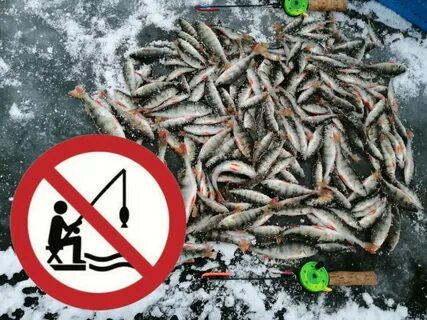Где можно ловить рыбу во время запрета