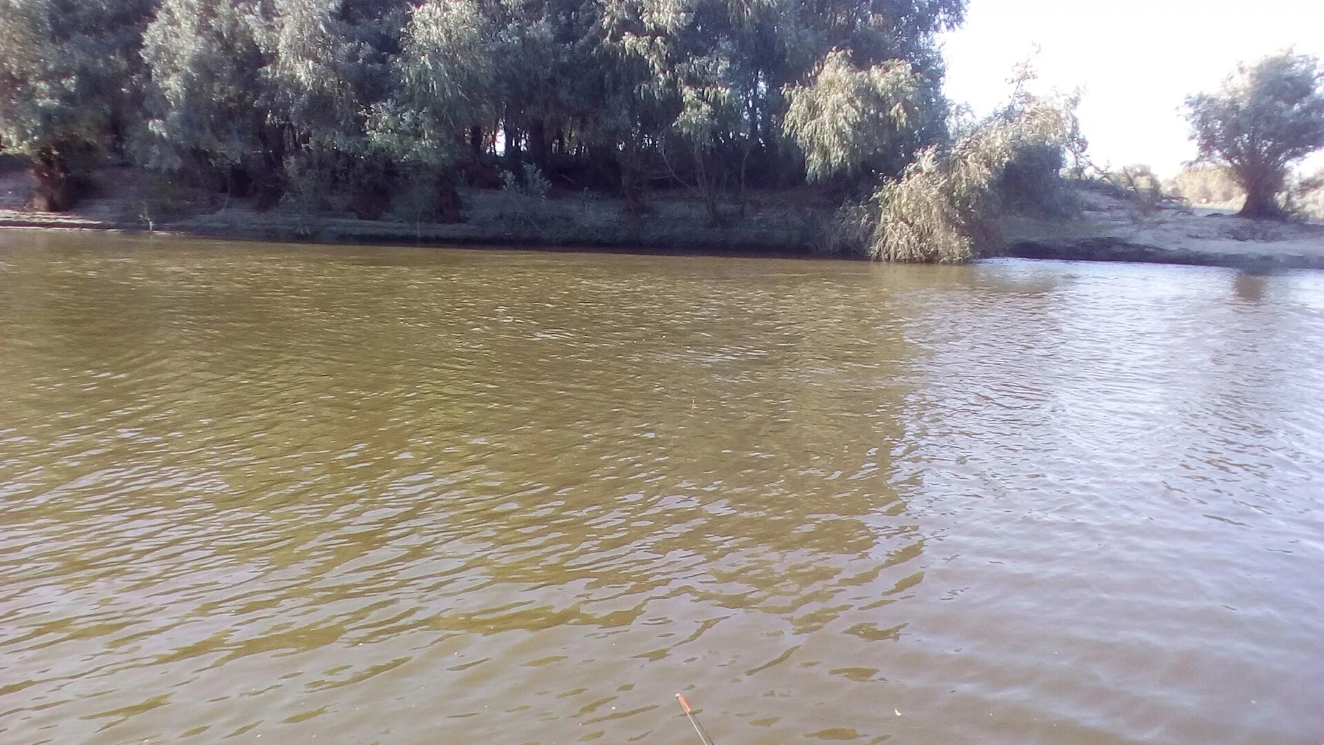 Река ахтуба село золотуха. Речка в астрахани бурунтай. Ашулук река. Ахтуба волгоград река. Харабали река ахтуба остров змеиный.