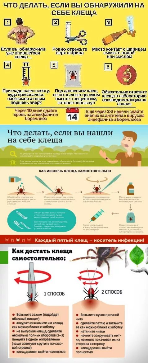 Чем обработать после удаления клеща. Вытащить клеща у человека.