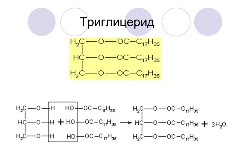 Глицерин пальмитиновая кислота стеариновая кислота. Триглицерид масляной кислоты формула. Триглицерид стеариновой кислоты в стеариновую. Триглицерид строение. Триглицерид пальмитиновой кислоты получение.