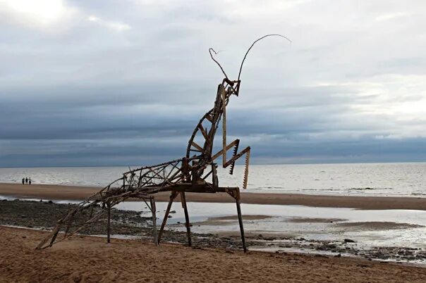 Тайбола 2024 где пройдет. Тайбола арт объекты. Тайбола 2017. Тайбола 2024 где пройдет. Тайбола фестиваль архангельская область.