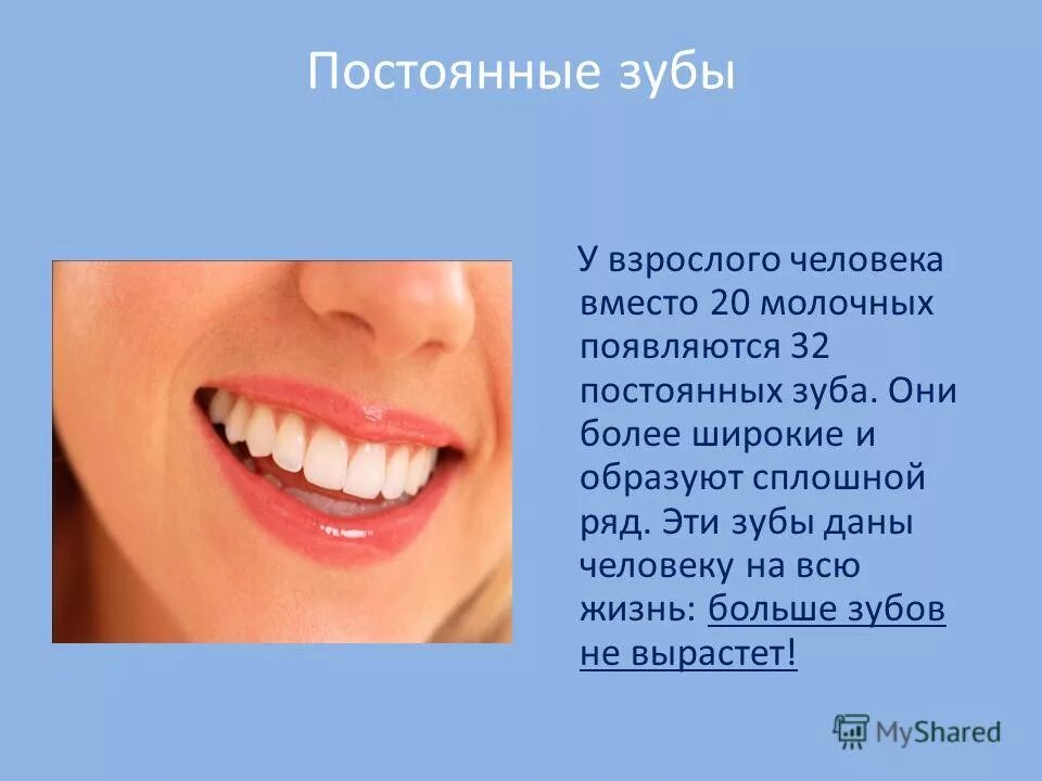 Зуб дает температуру. Постоянные зубы. Постоянные зубы у взрослого человека.