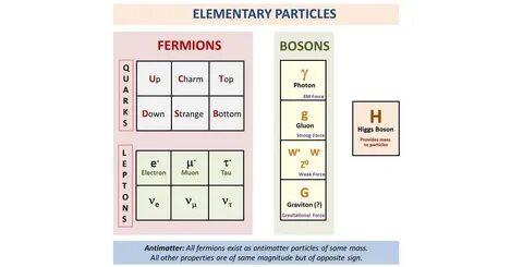 Elementary particles