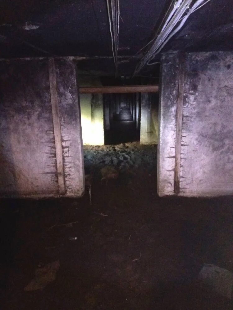 Подвальный запах. Пахнет из погреба. Подвал многоквартирного дома. Запах в подвале многоквартирного дома. Подвал сызрань.