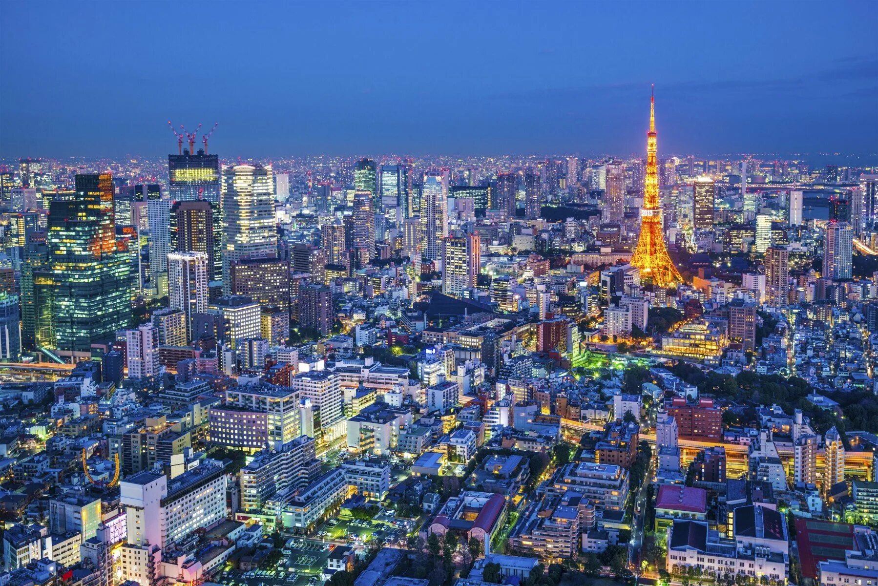 Япония крупнейший в мире. Япония город Токио. Токио столица. Столица Японии Токио фото. Площадь Токио.