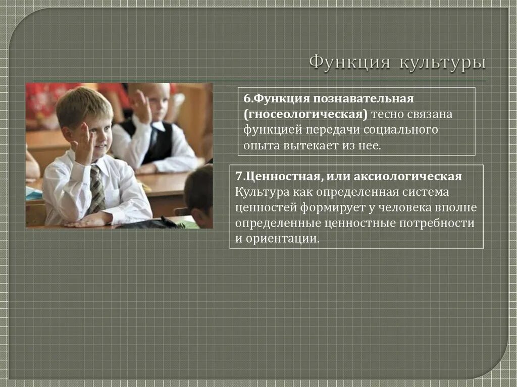 Познавательная функция общества. Пример познавательной функции. Познавательная функция культуры. Гносеологическая функция культуры. Познавательная функция культуры примеры.