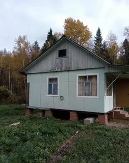 Снт нива