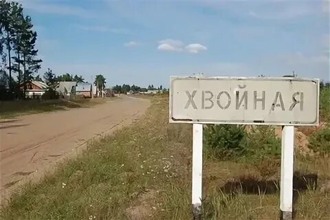 Погода хвойная новгородская на неделю рп5