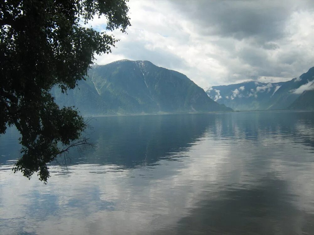 Белинская терраса телецкое озеро. Белинская терраса алтайский заповедник. Белинская терраса алтайский заповедник. Белле алтай. Белле алтай.