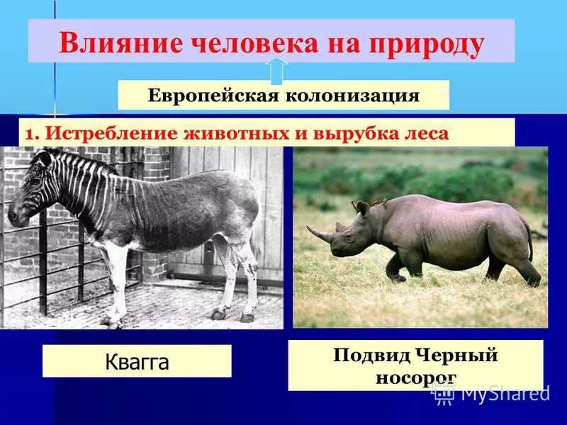 Пример влияния природы на животных. Пример влияния природы на животных