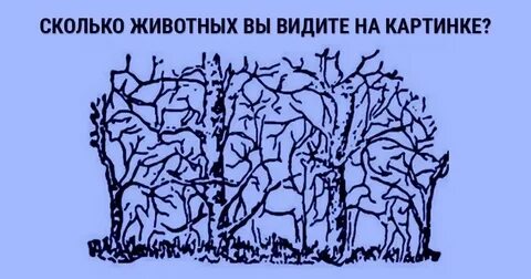 Тест сколько на картинке
