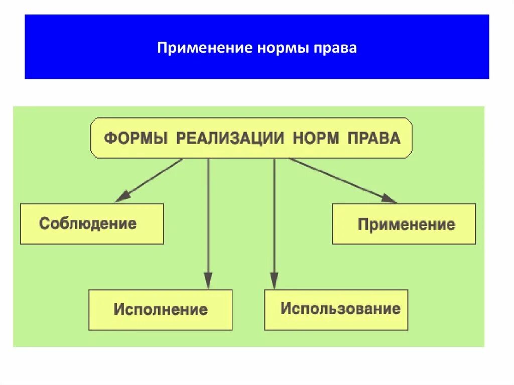 Применение правовой позиции. Формы реализации правовых норм.