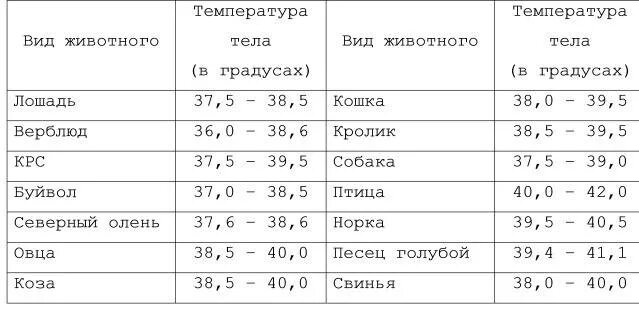 Температура тела человека норма. Норма температуры человеческого тела. Таблица нормы температуры тела. Нормальные показатели температуры тела. Ощущается какая температура