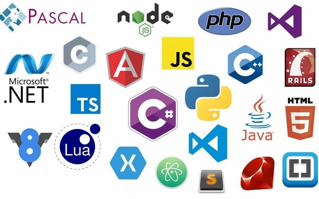 Programs net