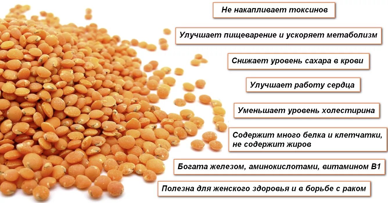 Рис усваивается