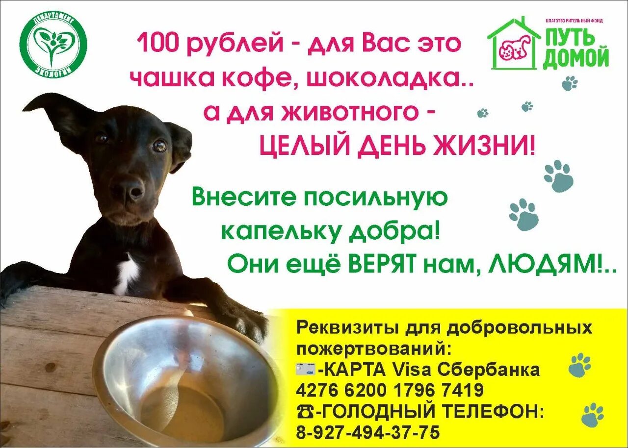Помощь животным можга