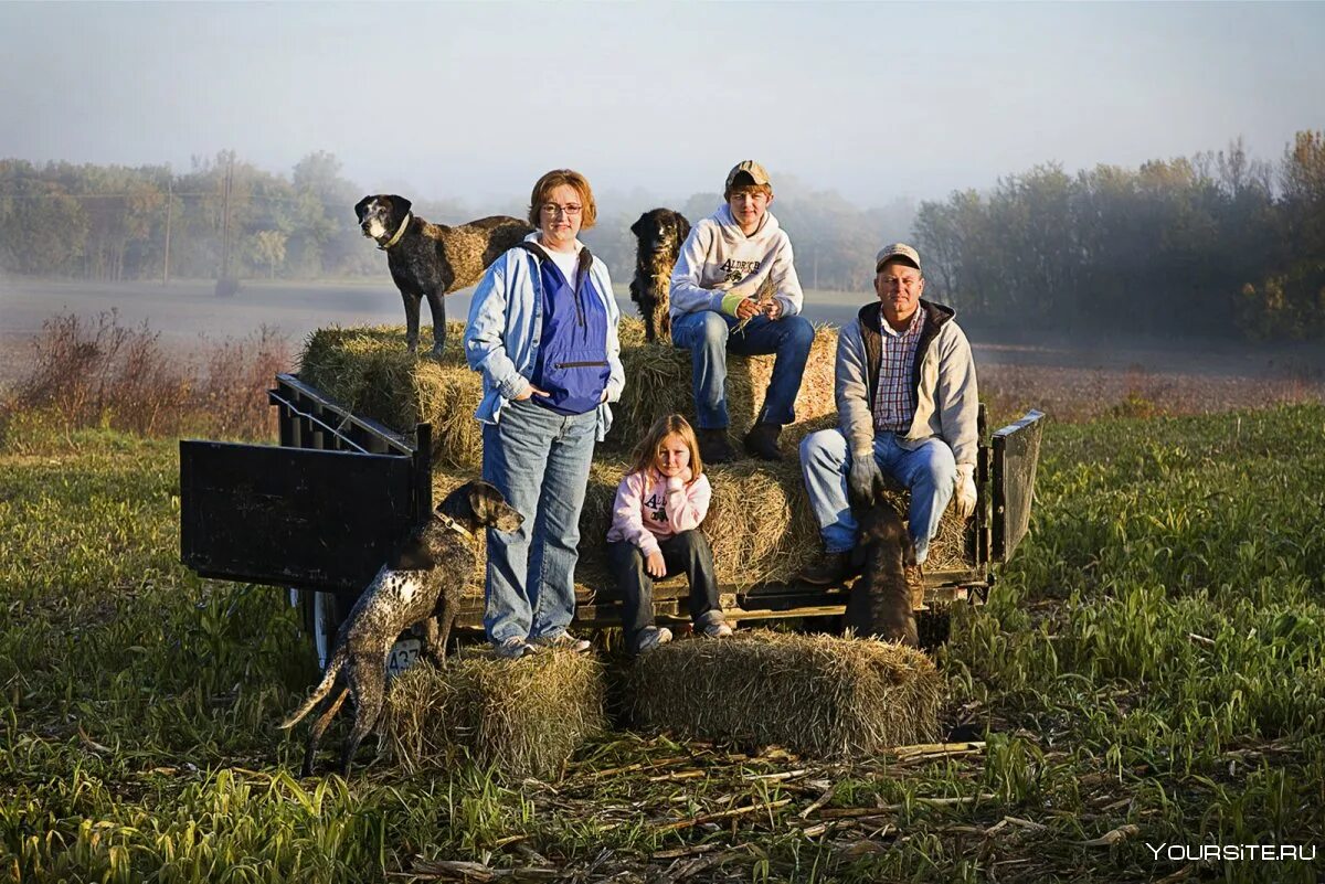 Скотный двор в деревне. Французская ферма. Чикенс ферма. Домашние животные в деревне. Фермерство в италии.