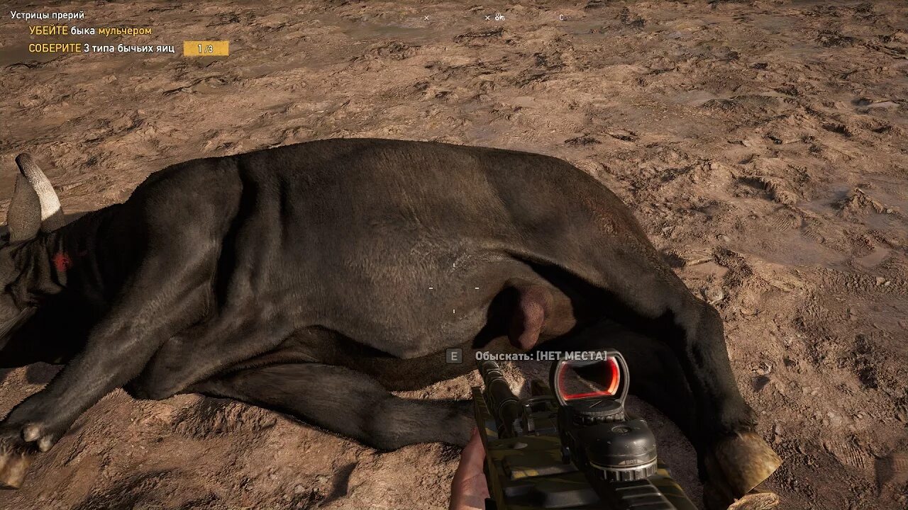 Far cry 5 объект под коровой. Убейте быка мульчером far cry. Убейте быка мульчером far cry. Far cry 6 петух. Убейте быка мульчером far cry.
