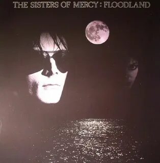 Sisters of mercy lucretia my