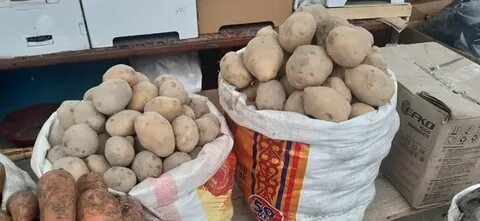 Ұзын аяқтар порно видео