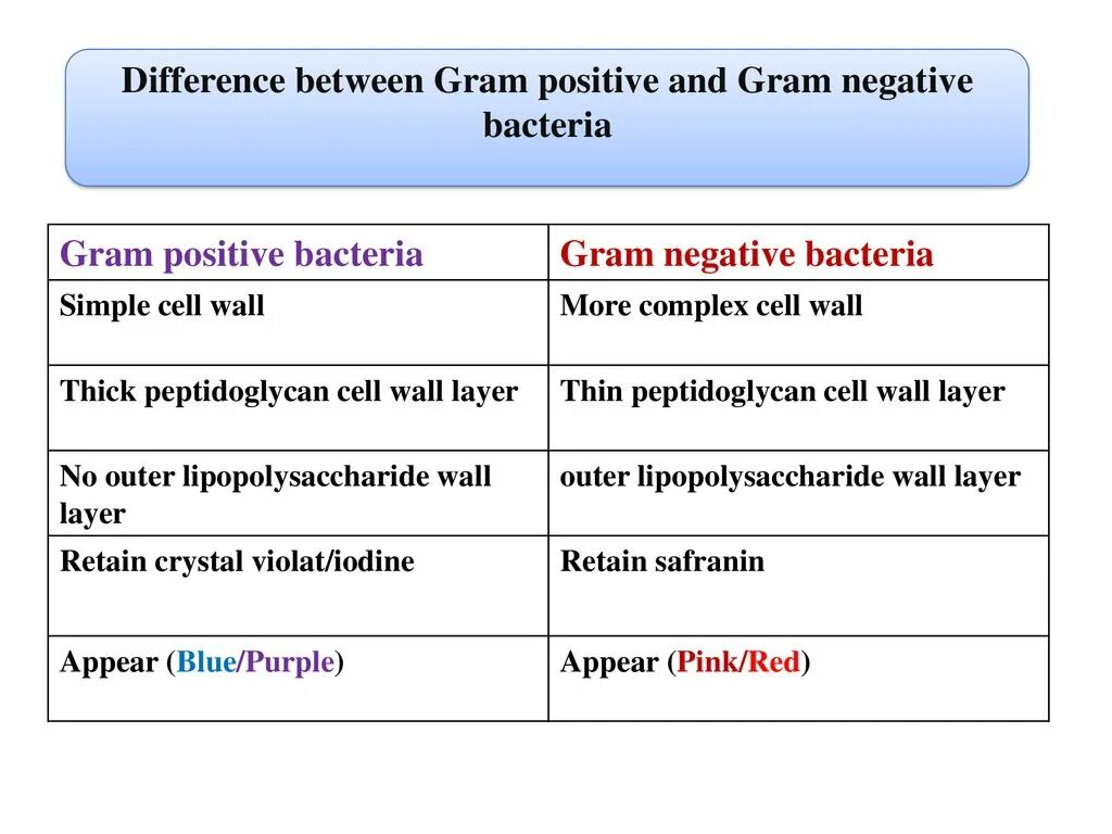 Difference between. Gram negative and positive bacteria. gram positive and gram negative bacteria. difference between gram positive and gram negative bacteria. gram positive and gram negative bacteria cell wall.
