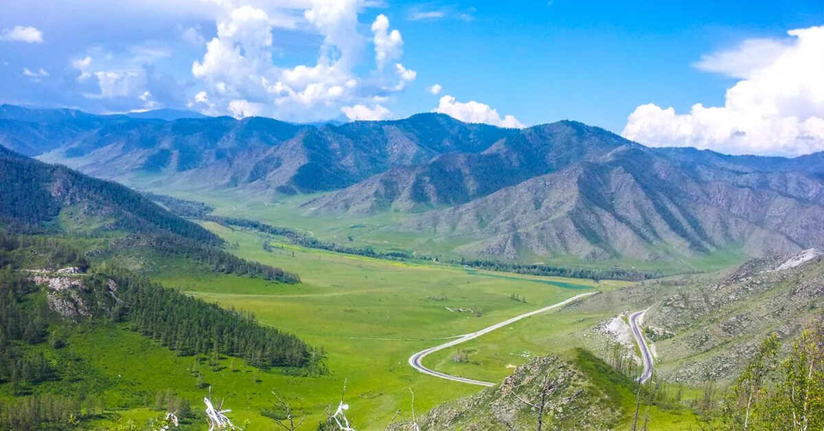 Чике-Таман перевал горный Алтай. Перевал Чике Таман в Горном Алтае. Горный Алтай гора чикеиаман. Джангысколь озеро горный Алтай.