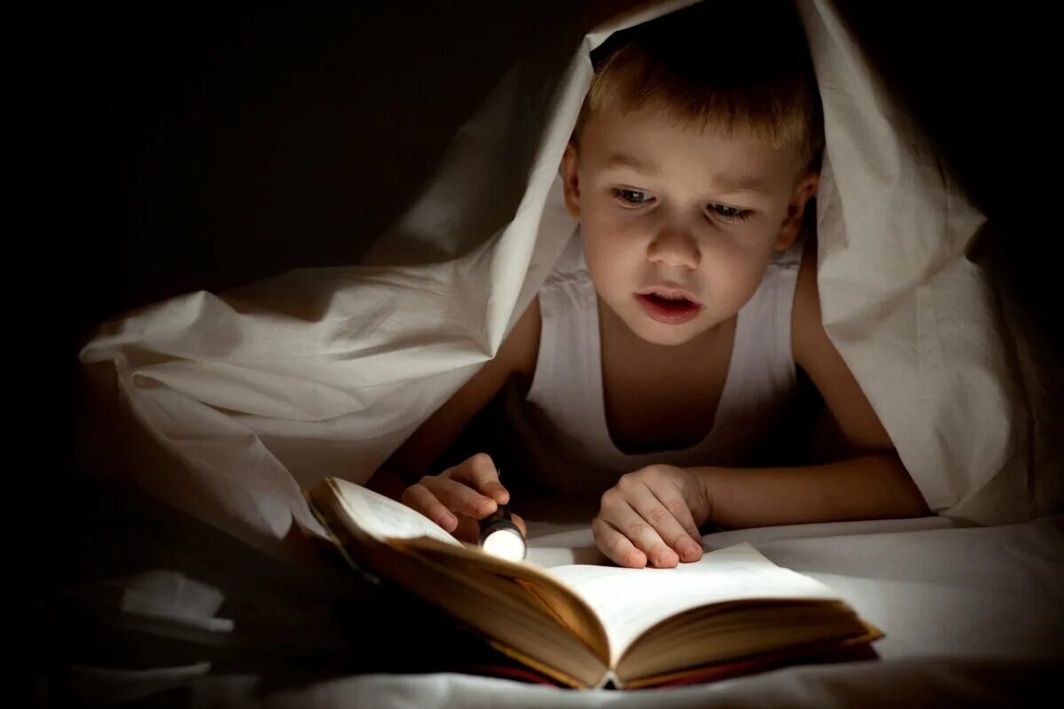 Читать книгу чтение книги. Чтение для детей. Книжный дозор. Мальчик читает. Книга для мальчиков.