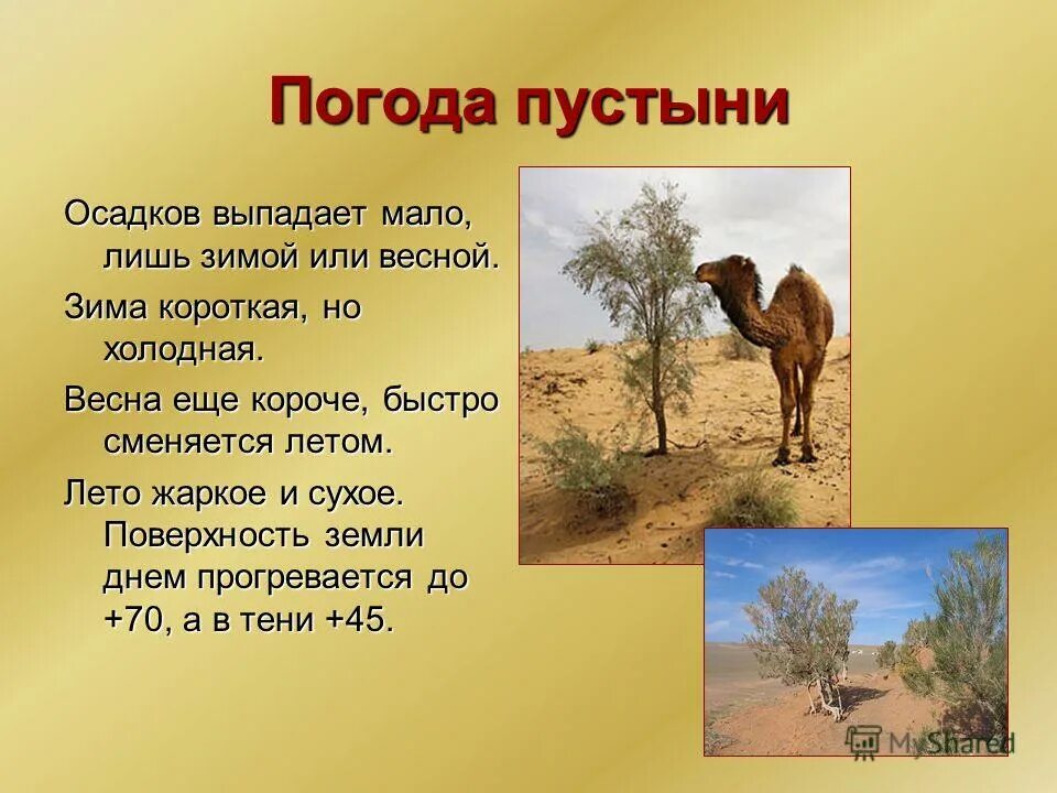 Полупустыни и пустыни климат температура. Когда в пустыне выпадают осадки. Пустыни и полупустыни россии климат. Какие осадки выпадают в пустыне. Осадки в пустынях.