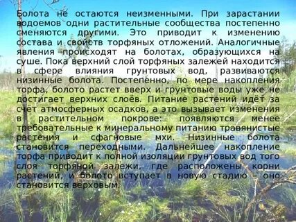 Дать характеристику болота