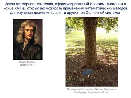 Кто открыл закон всемирного