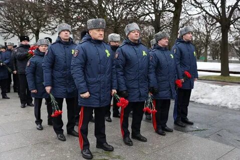 Плугин уходит из питера