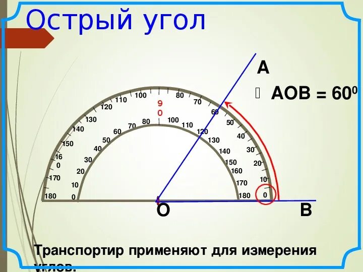 Измерение углов 5 класс. Углы и транспортир 5 класс. Прямой угол на транспортире. Измерить углы транспортиром. Угол можно определять в