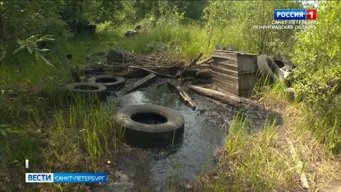 Разборы рыбаря последний выпуск