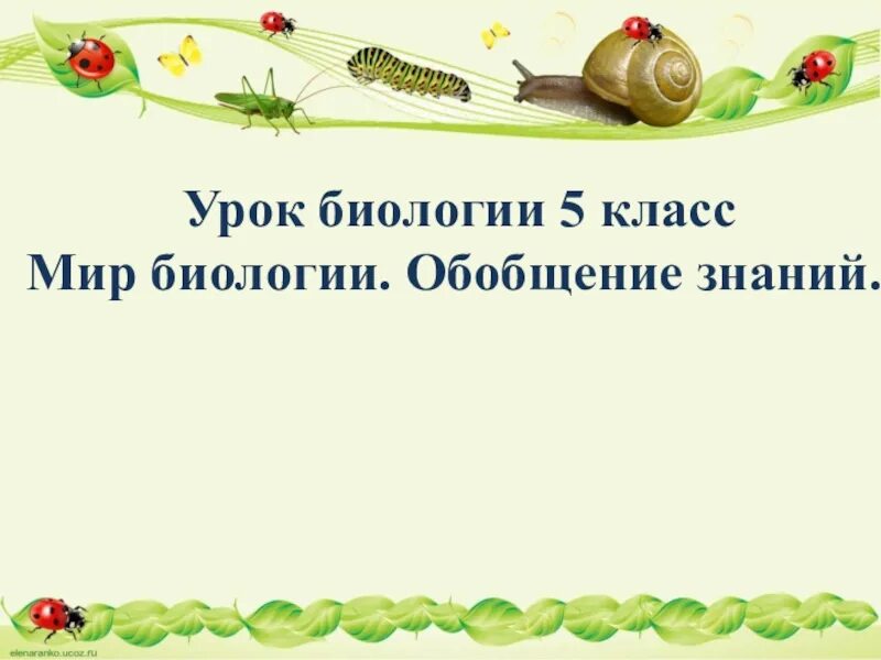 Урок по биологии мир биологии. Урок биологии презентация. Что такое обобщающий урок по биологии. Обобщение по биологии 5 класс. Урок биологии 5 класс.