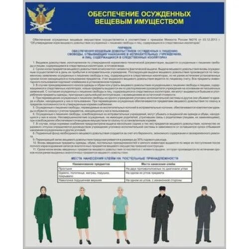 Нормы вещевого довольствия сотрудников фсин. Нормы вещевого довольствия осуждённых. Срок износа постельного белья в детском саду. Сроки носки вещевого имущества осужденных фсин. Нормы вещевого довольствия военнослужащих.