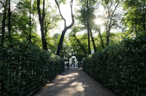 Аллея летнего сада
