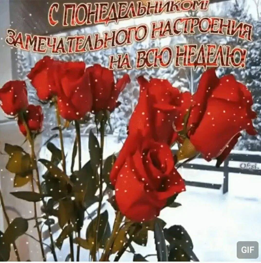 Хорошего воскресного зимнего дня и отличного настроения. Цветы для хорошего зимнего настроения. доброе з юимнее утро понедельника. с добрым зимним утром понедельника. доброго зимнего понедельника.