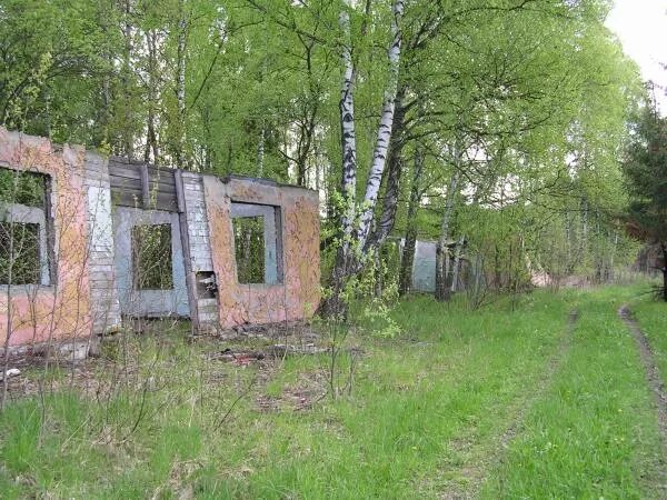 пионерские лагеря в пермском крае. пионерский лагерь звездный московская область. п л звезда. пионерский лагерь звездный круглое озеро. пионерский лагерь звездный мышецкое.