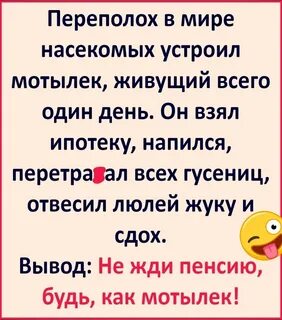 Живи как мотылек
