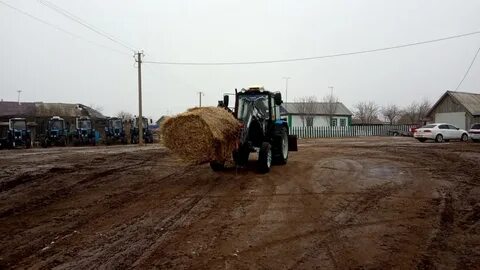 Самарская область карантин