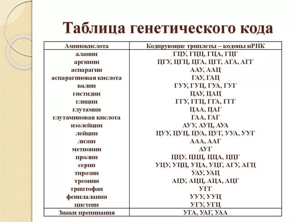 4 аминокислоты днк