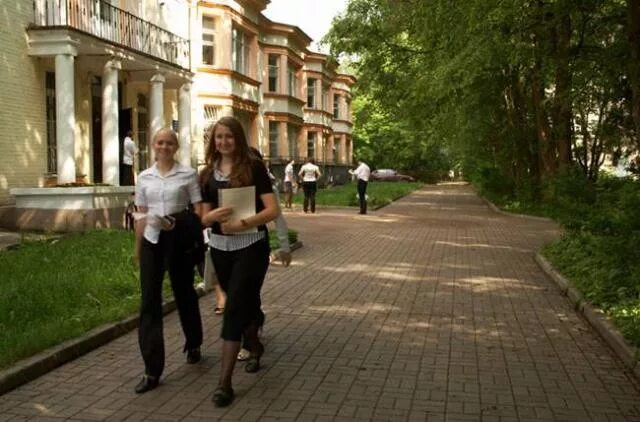 Интеллект лисий нос. Центр интеллект лисий нос. Лисий нос интеллект лого. Сайт интеллект лисий. Сайт интеллект лисий.