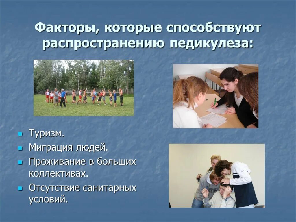 Какие условия способствуют распространению. Отсутствие санитарных условий. какие факторы способствуют педикулезу. отсутствие санитарии.