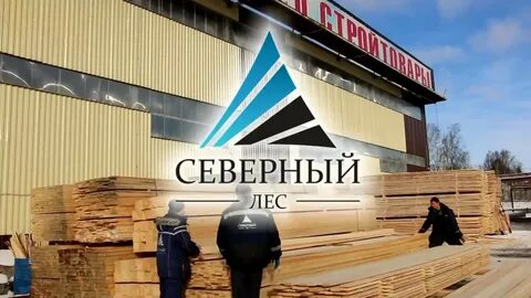 Я люблю северный лес