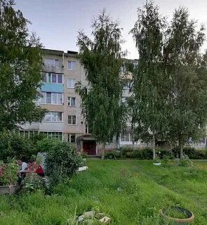Май кохма