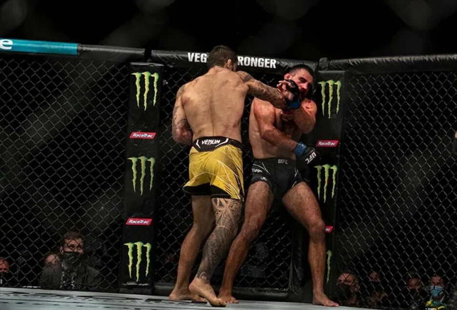 Элизеу залески дос сантос боец. Рикардо ufc. Сен дени ufc. Боец раян райан бенуа. Махачев чемпион ufc.