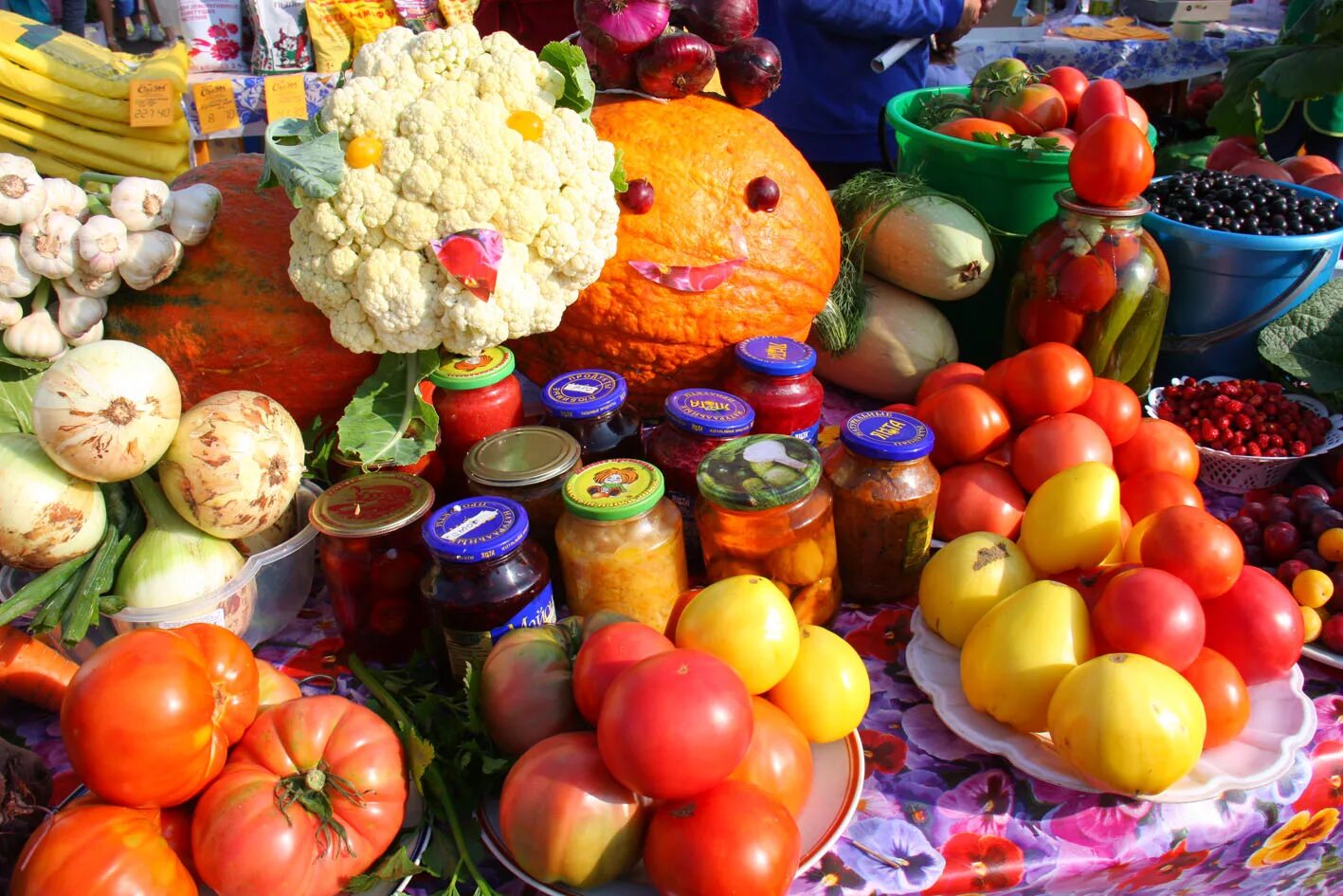 Праздник урожая. Праздники овощей. Праздники овощей. Праздник урожая выставка. Праздники овощей.